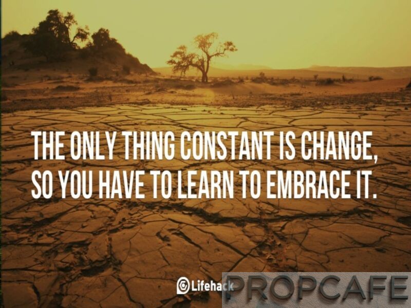 The-only-thing-constant-is-change-so-you-have-to-learn-to-embrace-it