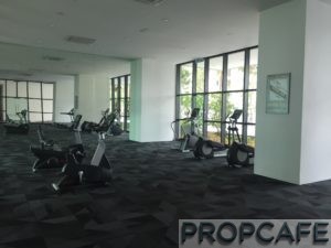 Tropicana_avenue_gym3