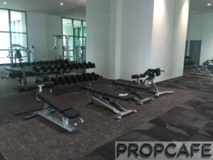 Tropicana_avenue_gym4