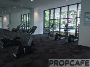 Tropicana_avenue_gym5