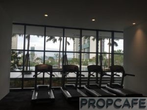 Tropicana_avenue_gym6