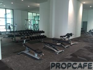 Tropicana_avenue_gym7