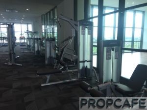 Tropicana_avenue_gym8