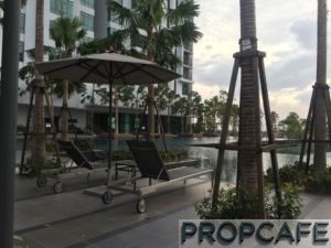 Tropicana_avenue_pool2 (2)