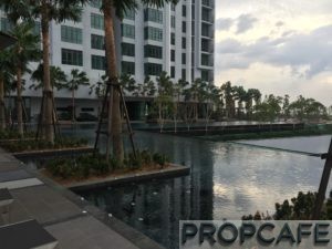 Tropicana_avenue_pool3